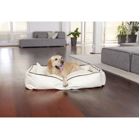 Smoothy® Koiranpeti