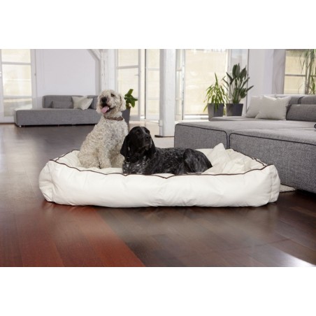 Smoothy® Koiranpeti