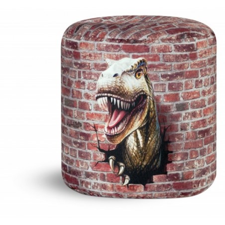 Sitting Point Rahi / Jakkara Dino