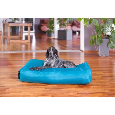 Smoothy® Koiranpeti