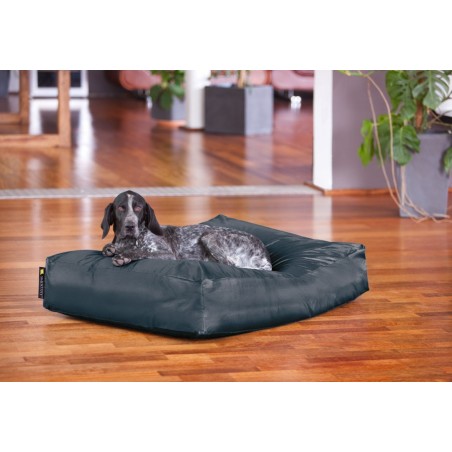 Smoothy® Koiranpeti