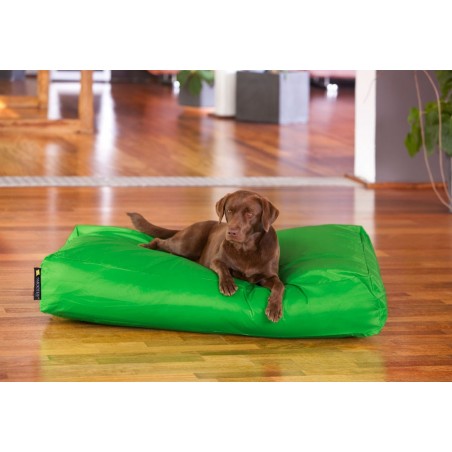 Smoothy® Koiranpeti