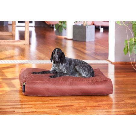 Smoothy® Koiranpeti