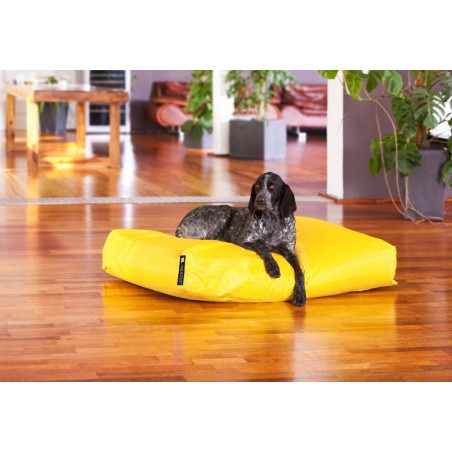 Smoothy® Koiranpeti